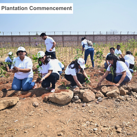 Greening the Grid: TotalEnergies’ Urban Forest Initiative – Planting