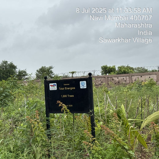 Greening the Grid: TotalEnergies’ Urban Forest Initiative – 6 months