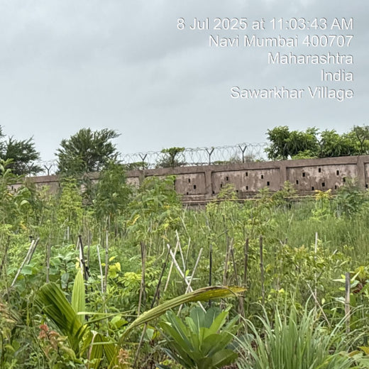 Greening the Grid: TotalEnergies’ Urban Forest Initiative – 6 months