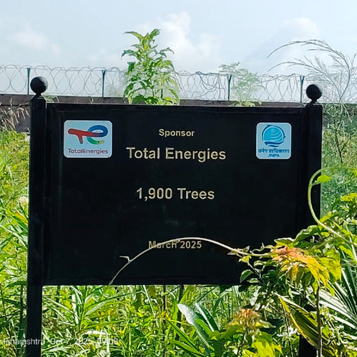 Greening the Grid: TotalEnergies’ Urban Forest Initiative – 1 year