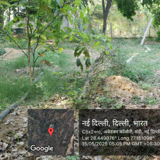 "Trammo Celebrates Earth Day with an Urban Forest Initiative to Engage Employees" – 1 year