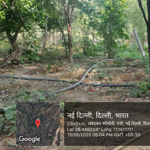 "Trammo Celebrates Earth Day with an Urban Forest Initiative to Engage Employees" – 1 year