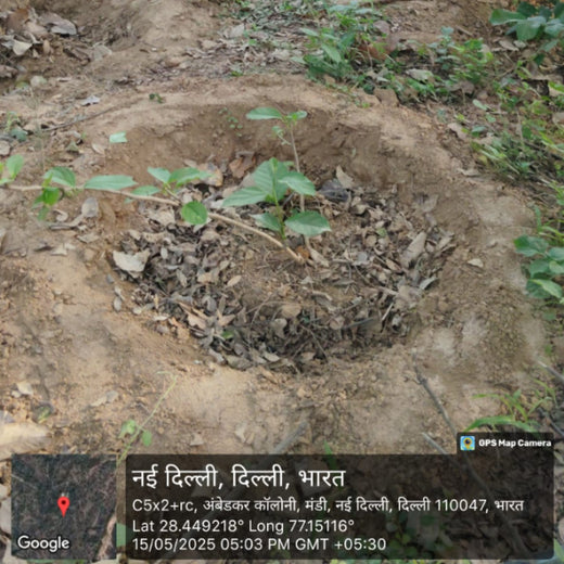 "Trammo Celebrates Earth Day with an Urban Forest Initiative to Engage Employees" – 1 year