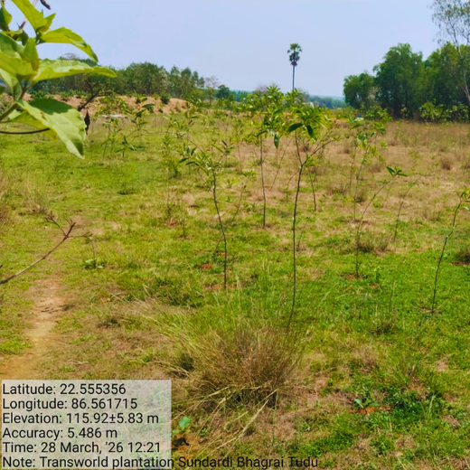 Green Impact, Social Upliftment: Transworld’s CSR Initiative – 2 years