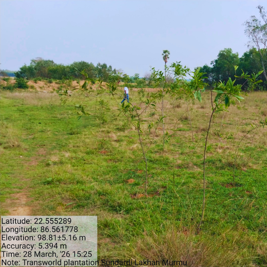 Green Impact, Social Upliftment: Transworld’s CSR Initiative – 2 years