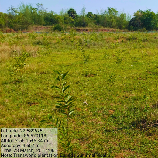Green Impact, Social Upliftment: Transworld’s CSR Initiative – 2 years