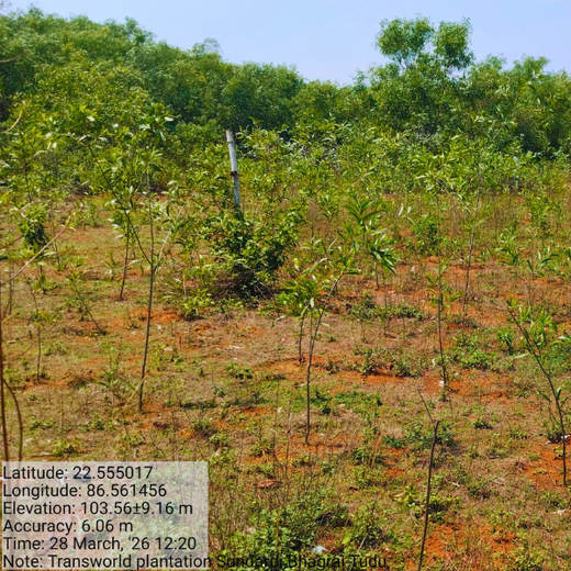 Green Impact, Social Upliftment: Transworld’s CSR Initiative – 2 years