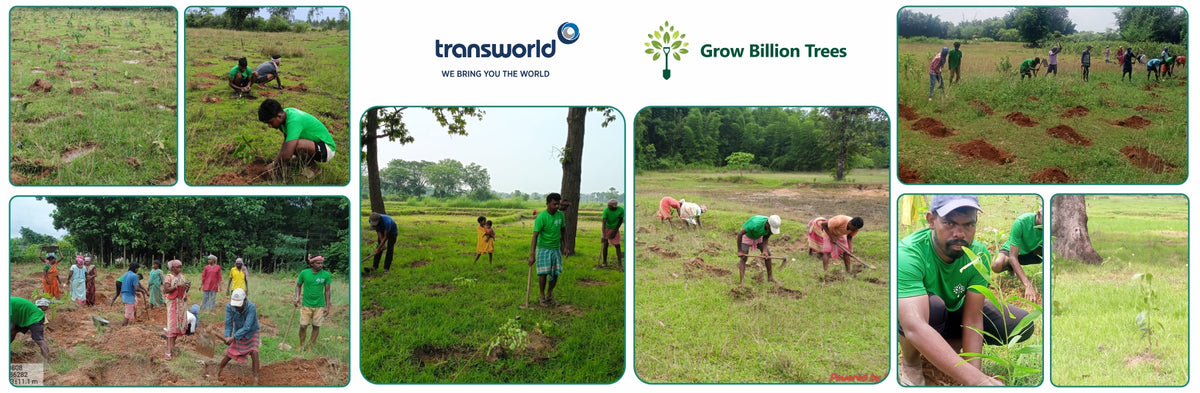 Green Impact, Social Upliftment: Transworld’s CSR Initiative