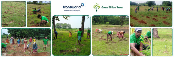 Green Impact, Social Upliftment: Transworld’s CSR Initiative