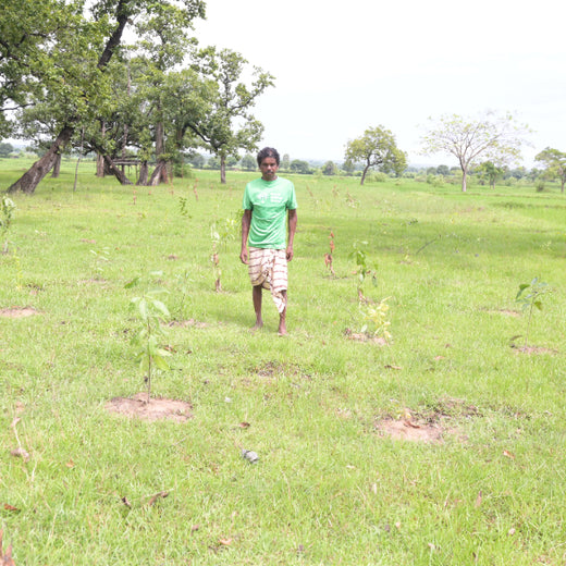 Green Impact, Social Upliftment: Transworld’s CSR Initiative – 6 months