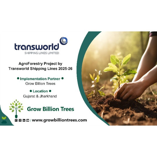 Eco-Growth, Rural Prosperity: Transworld’s CSR Initiative – 6 months