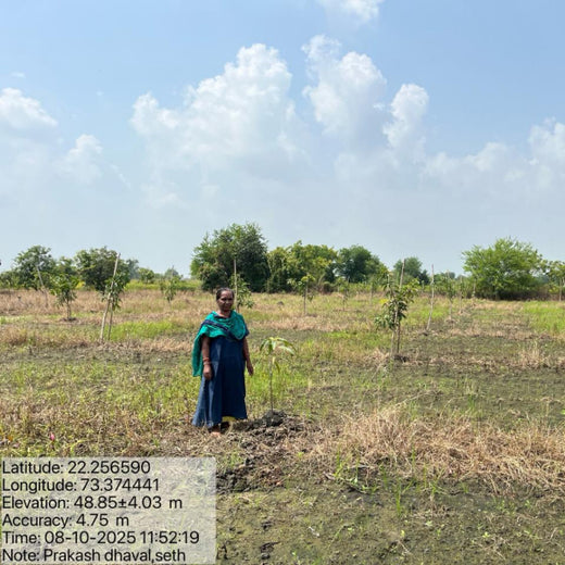 Eco-Growth, Rural Prosperity: Transworld’s CSR Initiative – Planting