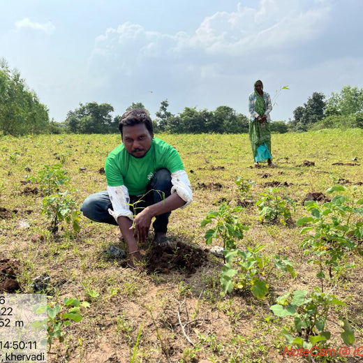 Eco-Growth, Rural Prosperity: Transworld’s CSR Initiative – Planting
