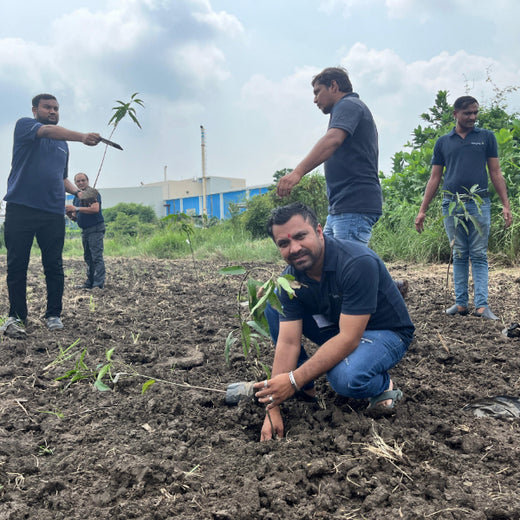 Eco-Growth, Rural Prosperity: Transworld’s CSR Initiative – 6 months