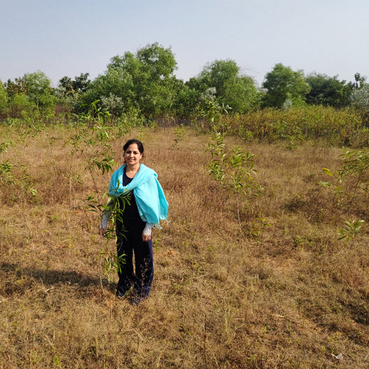 Green Impact, Social Upliftment: Transworld’s CSR Initiative – 1 year