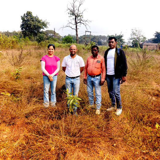 Green Impact, Social Upliftment: Transworld’s CSR Initiative – 1 year
