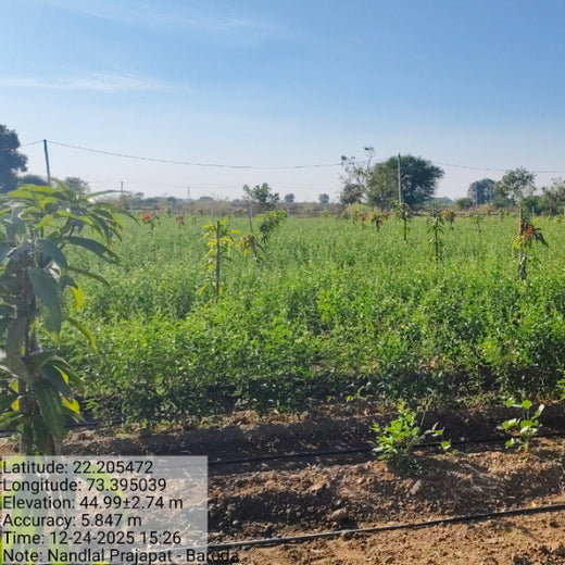 Eco-Growth, Rural Prosperity: Transworld’s CSR Initiative – 1 year