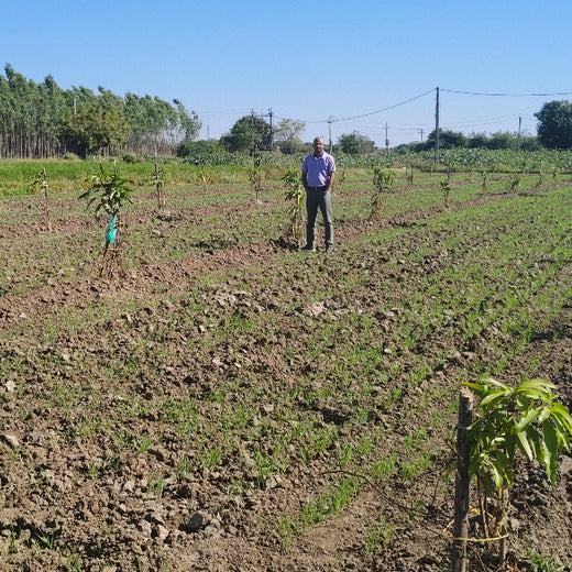 Eco-Growth, Rural Prosperity: Transworld’s CSR Initiative – 1 year