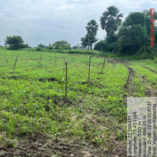 Eco-Growth, Rural Prosperity: Transworld’s CSR Initiative – 3 years