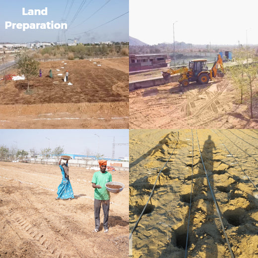 United Breweries Limited’s Green Symphony: Growing a Miyawaki Forest – Planting