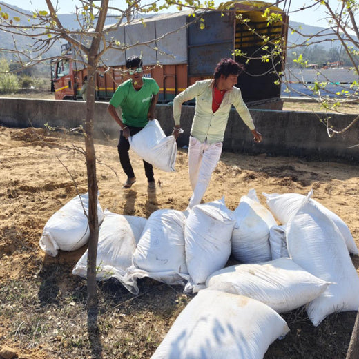 United Breweries Limited’s Green Symphony: Growing a Miyawaki Forest – Planting