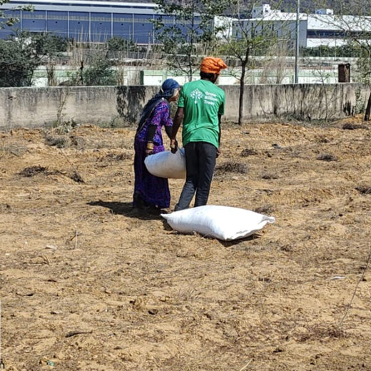 United Breweries Limited’s Green Symphony: Growing a Miyawaki Forest – Planting