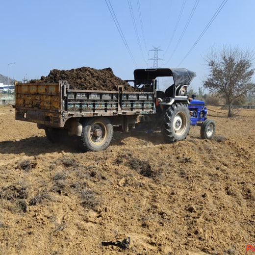 United Breweries Limited’s Green Symphony: Growing a Miyawaki Forest – Planting
