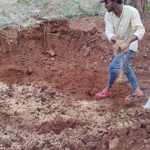 VOIS Green Mission: Advancing Urban Sustainability and Carbon Neutrality – Planting
