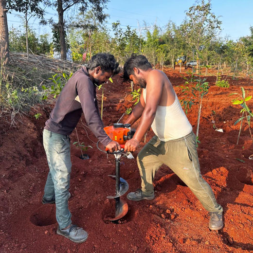 VOIS Green Mission: Advancing Urban Sustainability and Carbon Neutrality – Planting