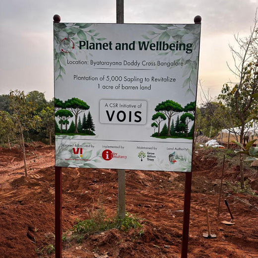 VOIS Green Mission: Advancing Urban Sustainability and Carbon Neutrality – Planting