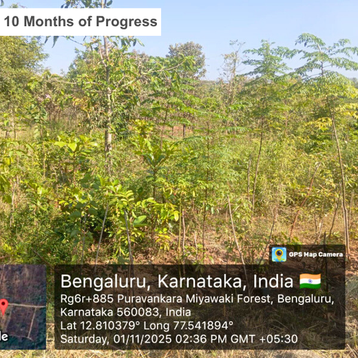 VOIS Green Mission: Advancing Urban Sustainability and Carbon Neutrality – 2 years