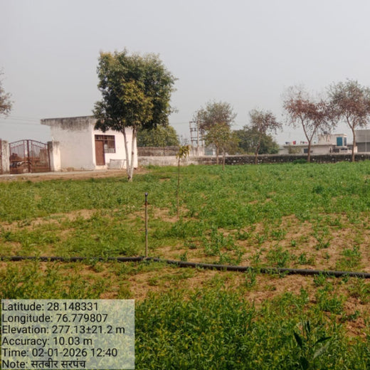 Varun Beverages Ltd through CSR Arm RJ Foundation: Project Van Dhara – 6 months