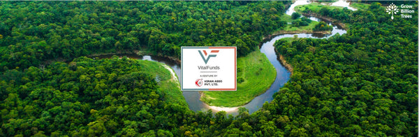 Honoring Guests, Nurturing Nature: Vital Funds' Inaugural Tree Plantation Initiative