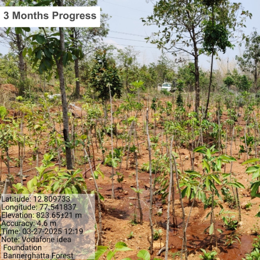 VOIS Green Mission: Advancing Urban Sustainability and Carbon Neutrality – 6 months