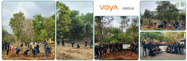 Innovation Meets Nature: Voya India’s Urban Forest for Employee Engagement