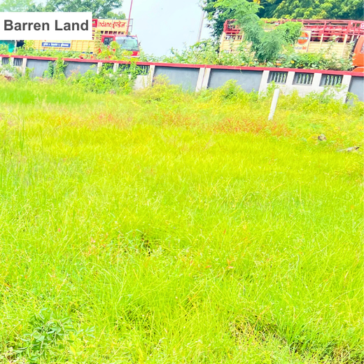 From Office to Oasis: Wipfli’s Employee-Led Urban Forest Initiative – Planting