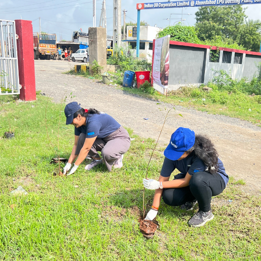 From Office to Oasis: Wipfli’s Employee-Led Urban Forest Initiative – Planting