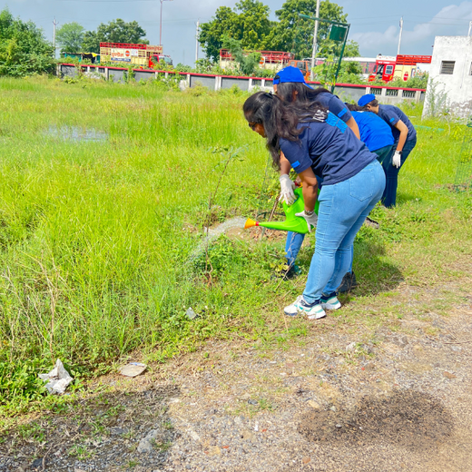 From Office to Oasis: Wipfli’s Employee-Led Urban Forest Initiative – Planting