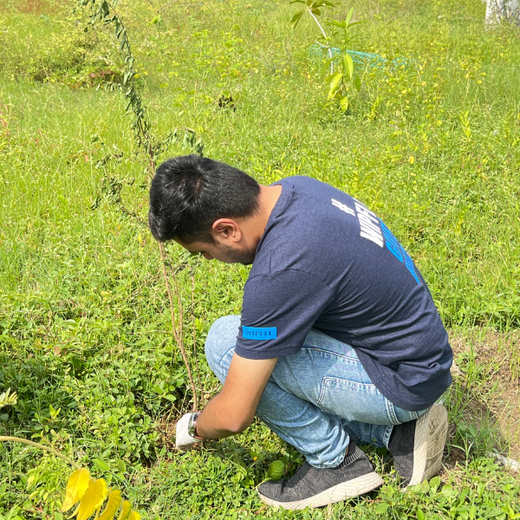From Office to Oasis: Wipfli’s Employee-Led Urban Forest Initiative – Planting