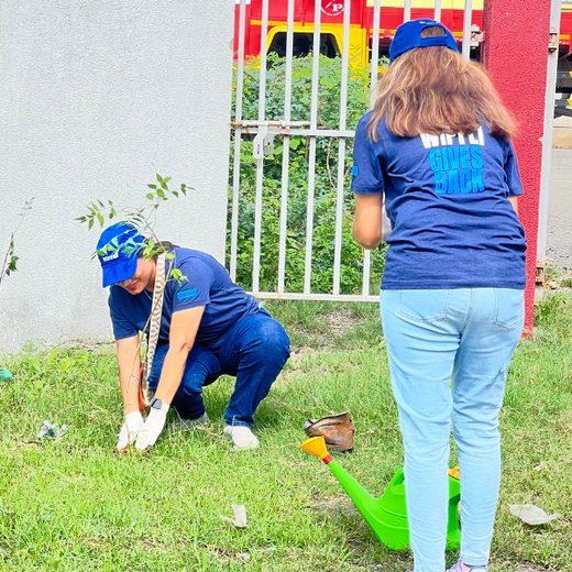 From Office to Oasis: Wipfli’s Employee-Led Urban Forest Initiative – Planting