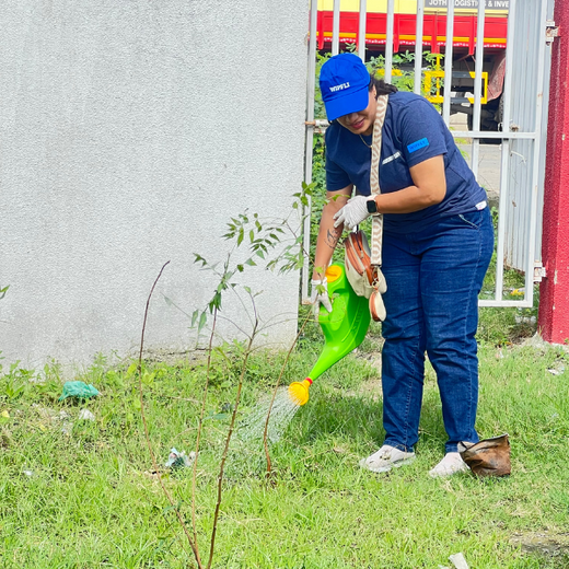 From Office to Oasis: Wipfli’s Employee-Led Urban Forest Initiative – Planting