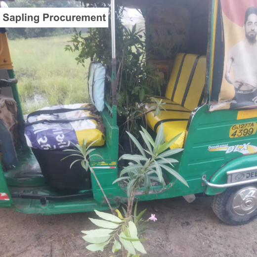From Office to Oasis: Wipfli’s Employee-Led Urban Forest Initiative – Planting