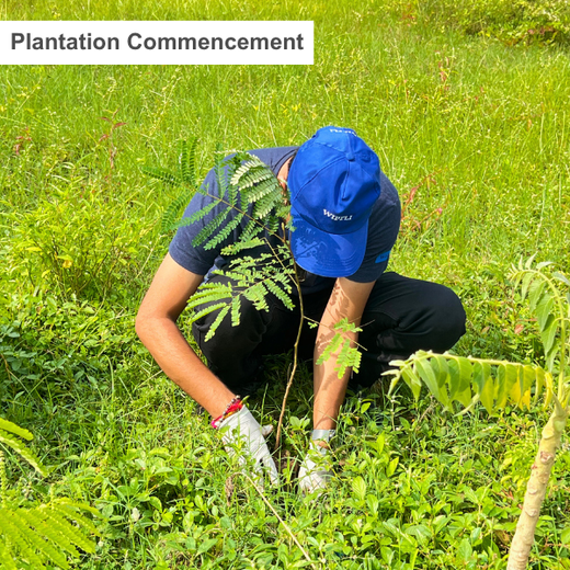 From Office to Oasis: Wipfli’s Employee-Led Urban Forest Initiative – Planting