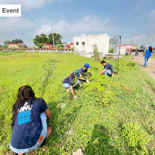 From Office to Oasis: Wipfli’s Employee-Led Urban Forest Initiative – Planting