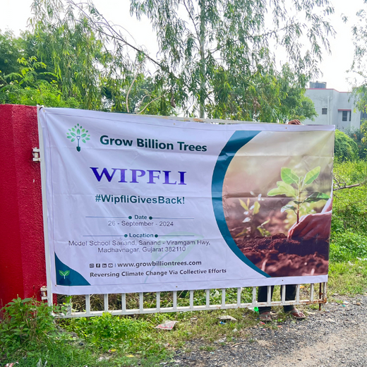 From Office to Oasis: Wipfli’s Employee-Led Urban Forest Initiative – Planting