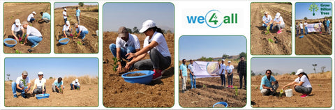 Harvesting Hope: We4All's Tree Plantation in Agroforests