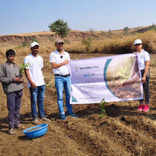 Harvesting Hope: We4All's Tree Plantation in Agroforests – Planting