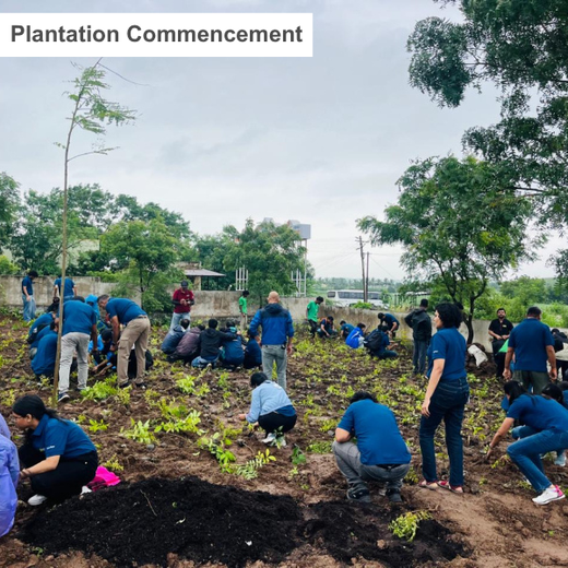 Western Union Services India Pvt. Ltd.: CSR for a Greener Future – 1 year