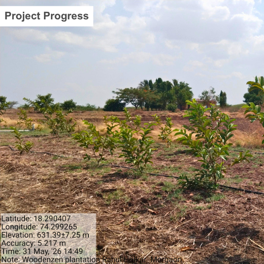 Sustaining Tomorrow: WoodnZen’s Step Toward Ecological Balance – 6 months