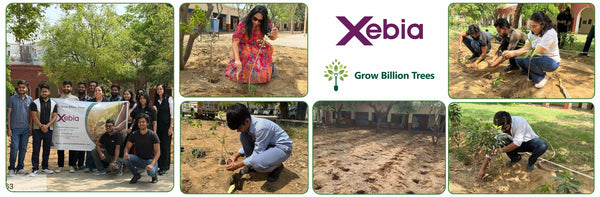 Innovating Sustainability: Xebia’s Urban Forest Footprint